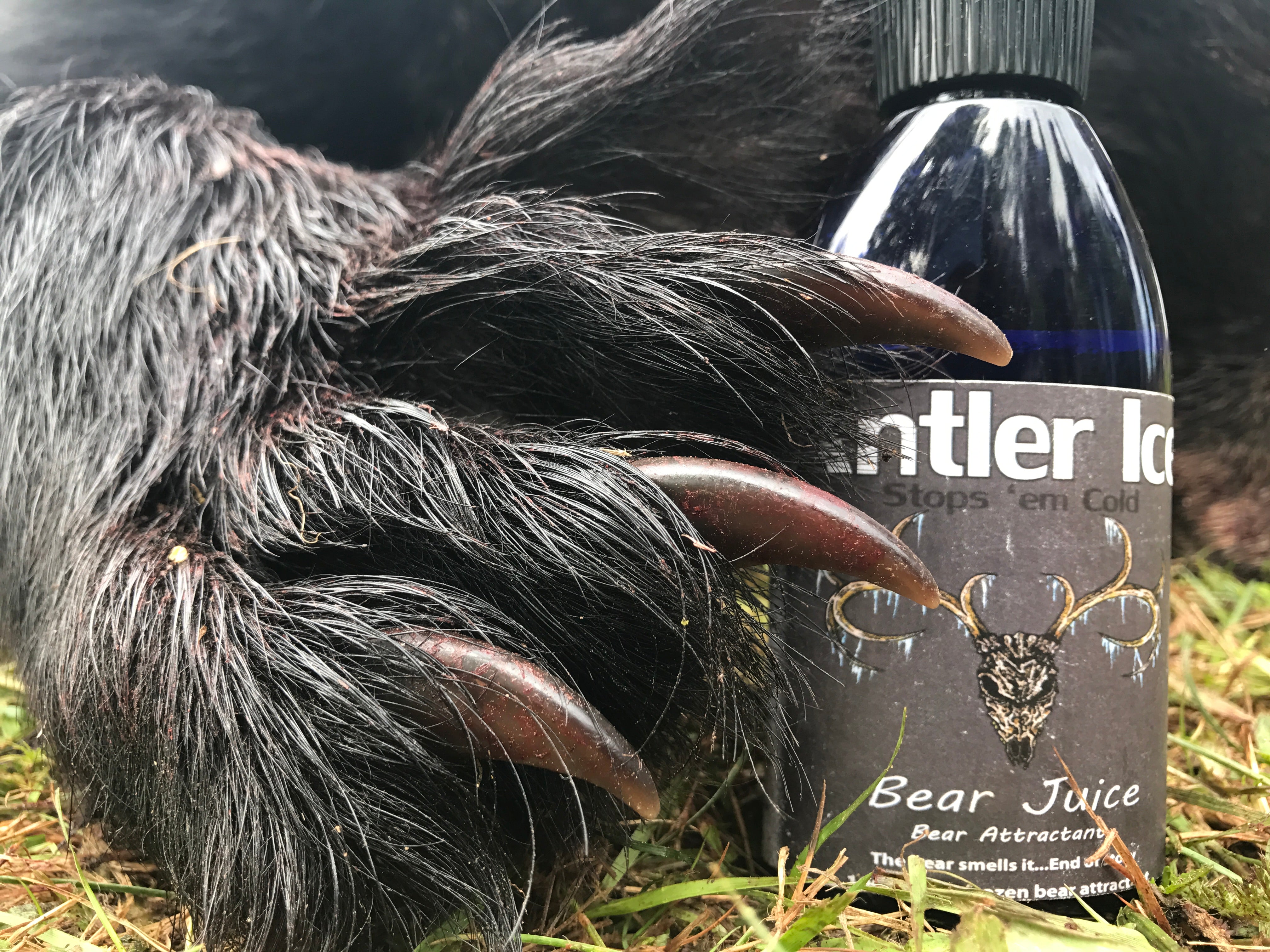 Bear Juice 4oz - Bear Attractant & Bait Scent | Antler Ice
