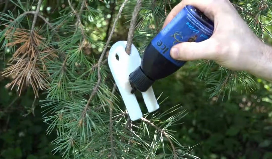 The Ultimate Guide to Making a Mock Scrape with Fresh Frozen Antler Ice