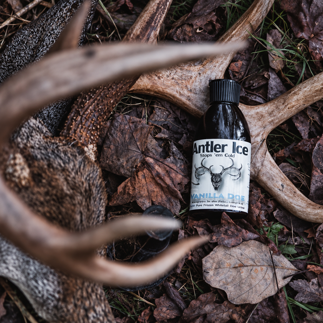 A bottle of Antler Ice Vanilla Doe deer urine hunting attractant lies on forest floor leaves and antlers. The bottle has a black cap and a white label with a deer skull graphic and the brand name 'Antler Ice'.