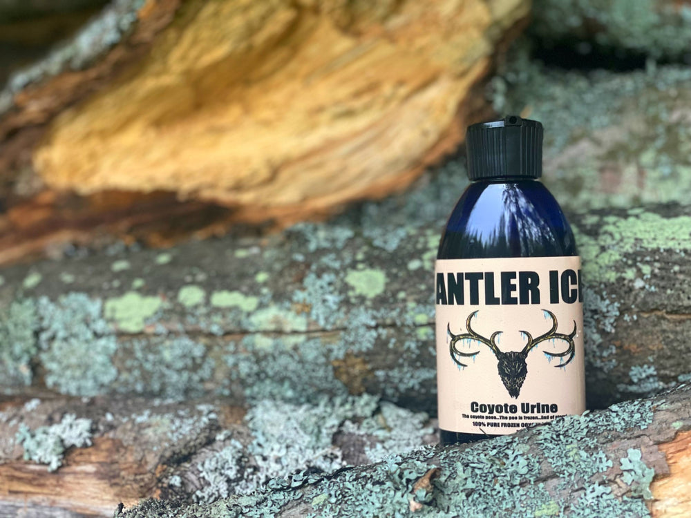 A 4 oz bottle labeled 'ANTLER ICE Coyote Urine' placed against a natural outdoor background with wood pieces and logs.