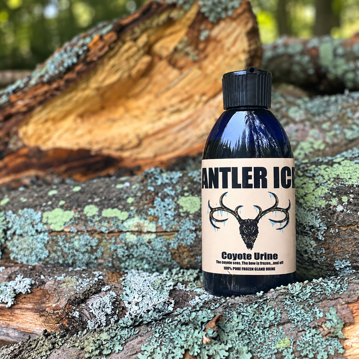 A bottle of Antler Ice Coyote Urine placed on a mossy log outdoors, with a cut tree trunk blurred in the background.