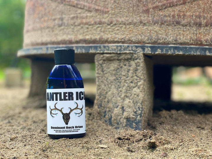 A 4 oz bottle labeled 'Antler Ice Dominant Buck Scent' placed on an outdoor sandy surface with a blurred fire pit in the background.