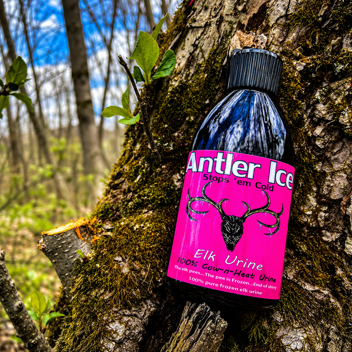 A bottle of Antler Ice Stop 'Em Cold Elk Urine cow in heat Elk hunting attractant leaning against a mossy tree trunk in a forest setting.