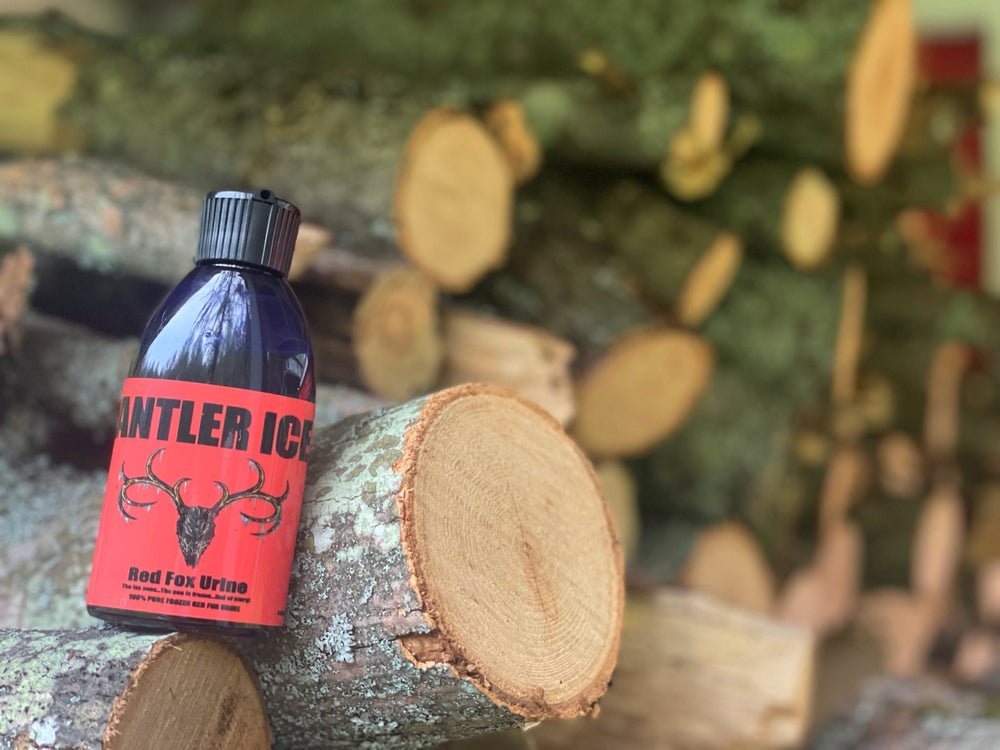 A bottle of Antler Ice red fox urine, propped on a stack of logs in the outdoors