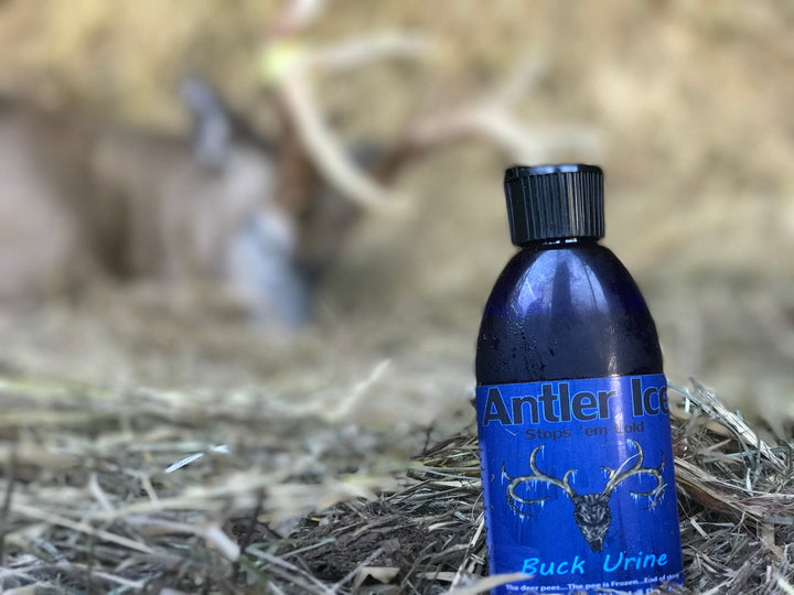A 4 oz bottle labeled 'Antler Ice Buck Urine' placed on a bed of hay with a blurred image of a deer in the background.