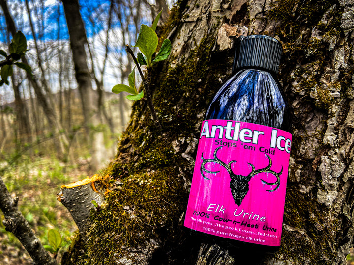 A bottle of Antler Ice ELK URINE attractant, placed against a natural outdoor background with a tree trunk, surrounded by what appears to be moss.